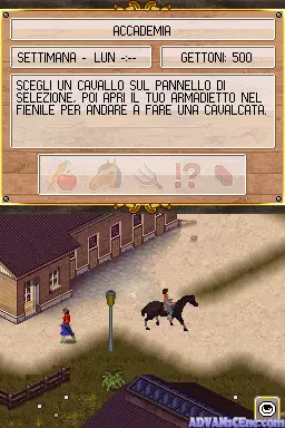 Image n° 3 - screenshots : Riding Academy